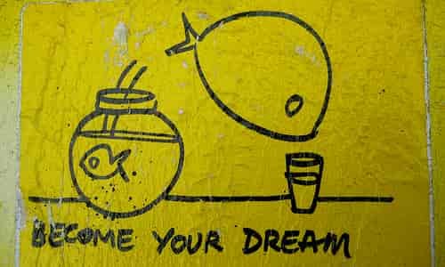 become your dream