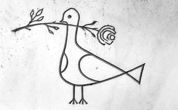 dove