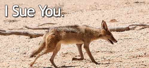 jackal ex-employer